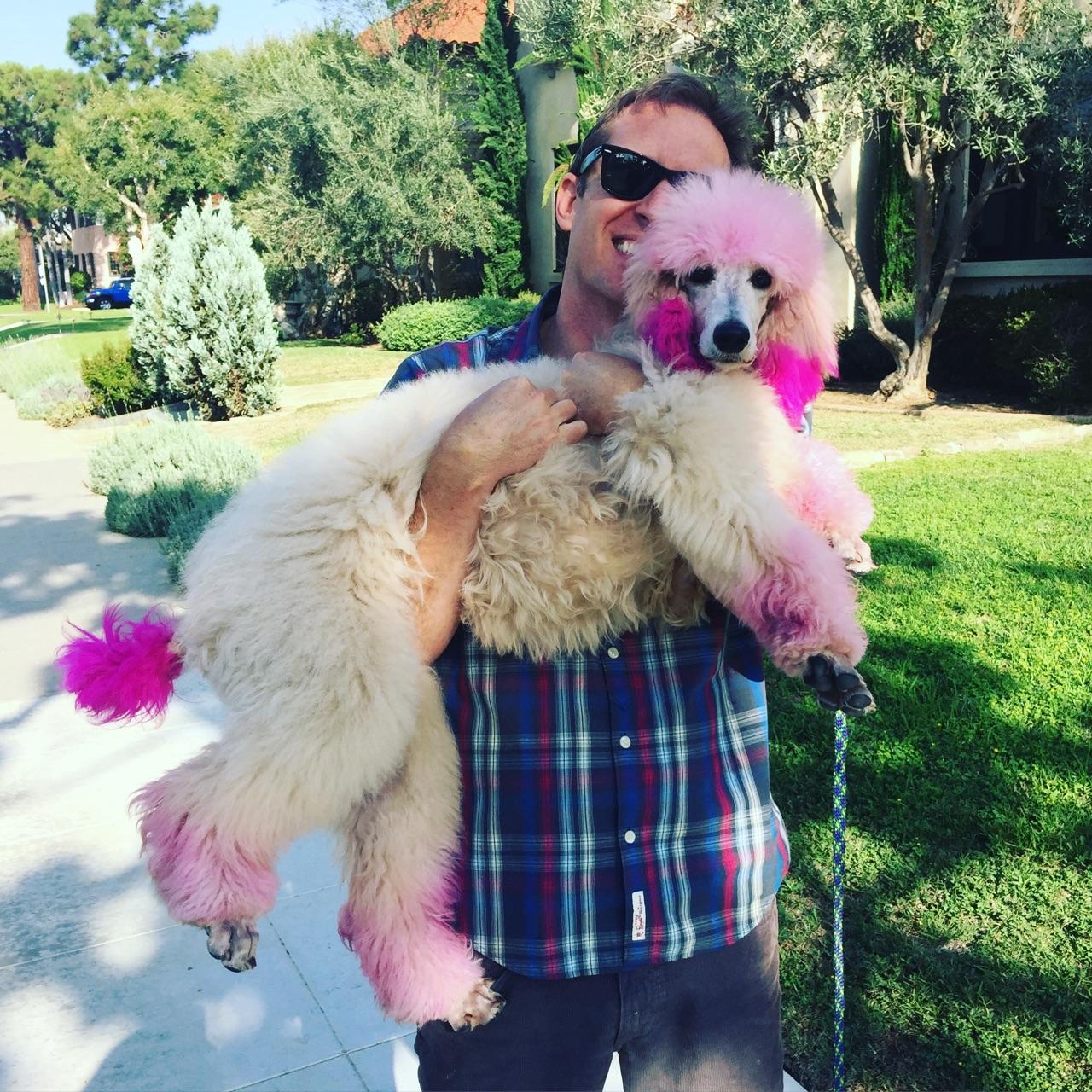 Josh Freese Poodle