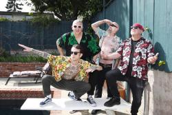 The Dwarves Hawaii Shirts
