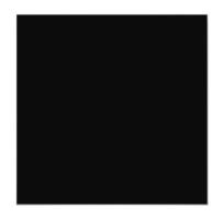 Black Box