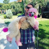 Josh Freese Poodle